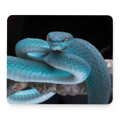 Blue Pit Viper Snake Print Mouse Pad