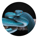 Blue Pit Viper Snake Print Round Blanket