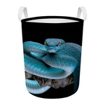 Blue Pit Viper Snake Print Round Laundry Basket