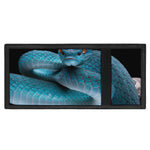 Blue Pit Viper Snake Print Trifold Wallet