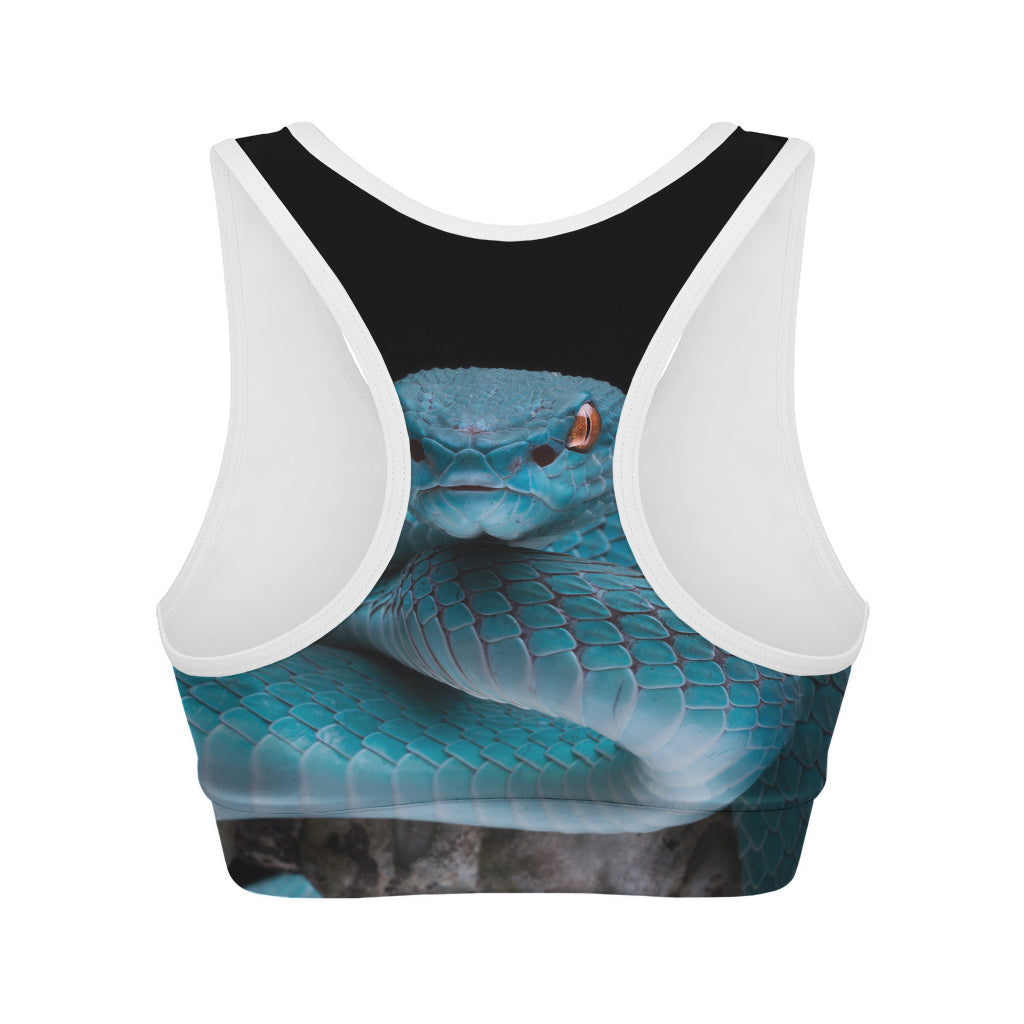 Blue Pit Viper Snake Print Women's Sports Bra
