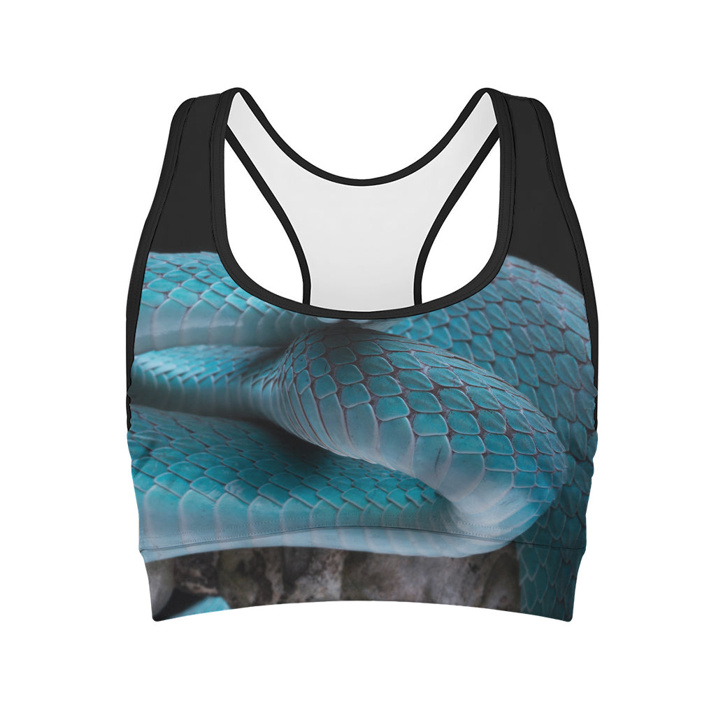 Blue Pit Viper Snake Print Women's Sports Bra
