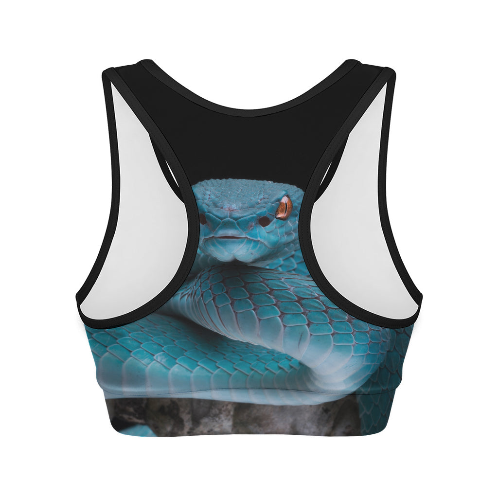Blue Pit Viper Snake Print Women's Sports Bra
