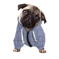 Blue Prince of Wales Check Print Dog Zip Up Hoodie