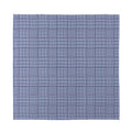 Blue Prince of Wales Check Print Silk Bandana