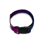 Blue Purple Cosmic Galaxy Space Print Dog Collar