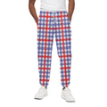 Blue Red And White Check Pattern Print Cotton Sweatpants