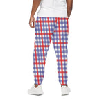 Blue Red And White Check Pattern Print Cotton Pants