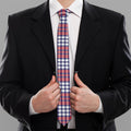 Blue Red And White USA Plaid Print Necktie