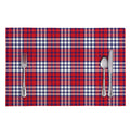 Blue Red And White USA Plaid Print Placemat