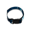 Blue Rose Floral Flower Pattern Print Dog Collar