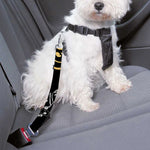 Blue Sky And Golden Sun Samurai Print Dog Seat Belt
