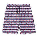 Blue Striped Nautical Anchor Print Men's Swim Trunks