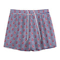 Blue Striped Nautical Anchor Print Mesh Shorts