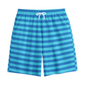 Blue Striped Pattern Print Cotton Shorts