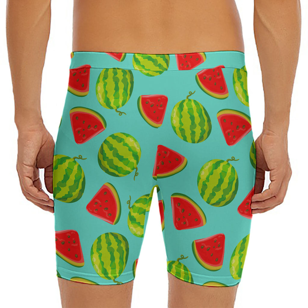 Blue Summer Watermelon Pattern Print Men's Long Boxer Briefs