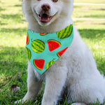 Blue Summer Watermelon Pattern Print Over The Collar Dog Bandana