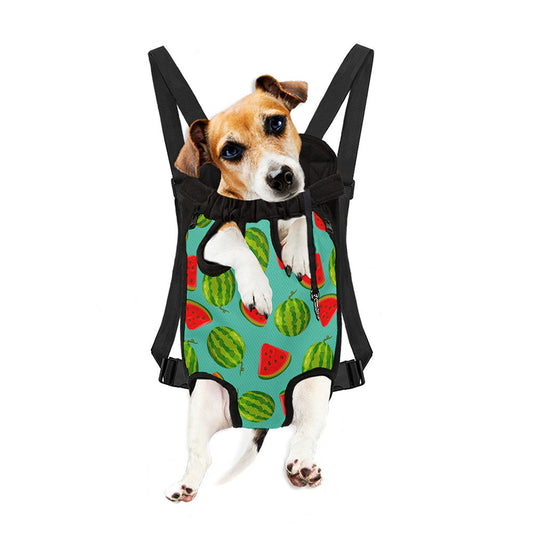 Blue Summer Watermelon Pattern Print Pet Carrier Backpack