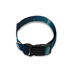 Blue Taurus Zodiac Sign Print Dog Collar
