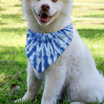 Blue Tie Dye Print Over The Collar Dog Bandana