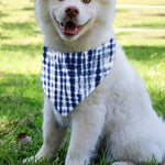 Blue Tie Dye Shibori Print Over The Collar Dog Bandana