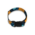 Blue Vinyl Record Pattern Print Dog Collar
