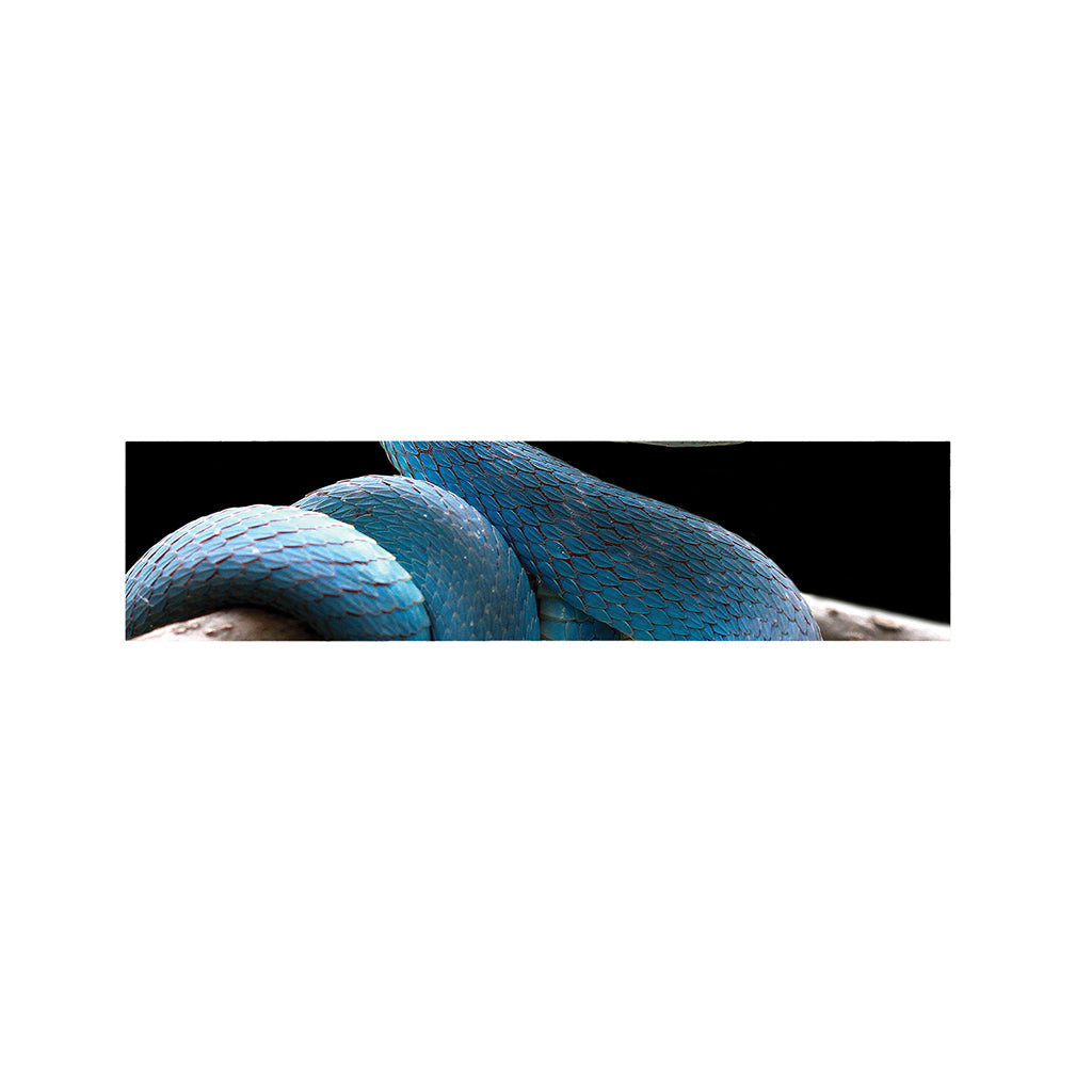 Blue Viper Snake Print Bed Runner