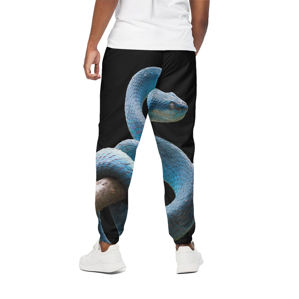 Blue Viper Snake Print Cotton Pants