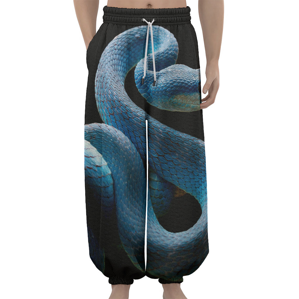 Blue Viper Snake Print Lantern Pants