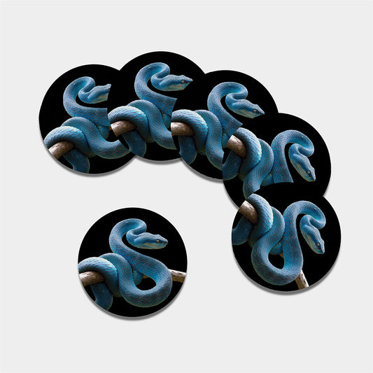 Blue Viper Snake Print Leather Coaster Set