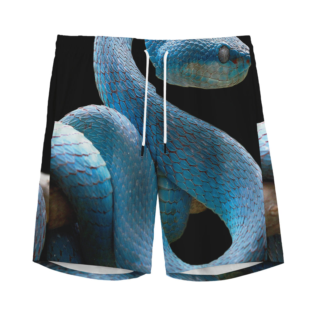 Blue Viper Snake Print Men's Sports Shorts