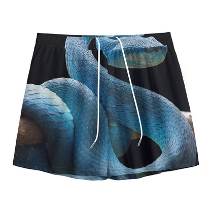 Blue Viper Snake Print Mesh Shorts