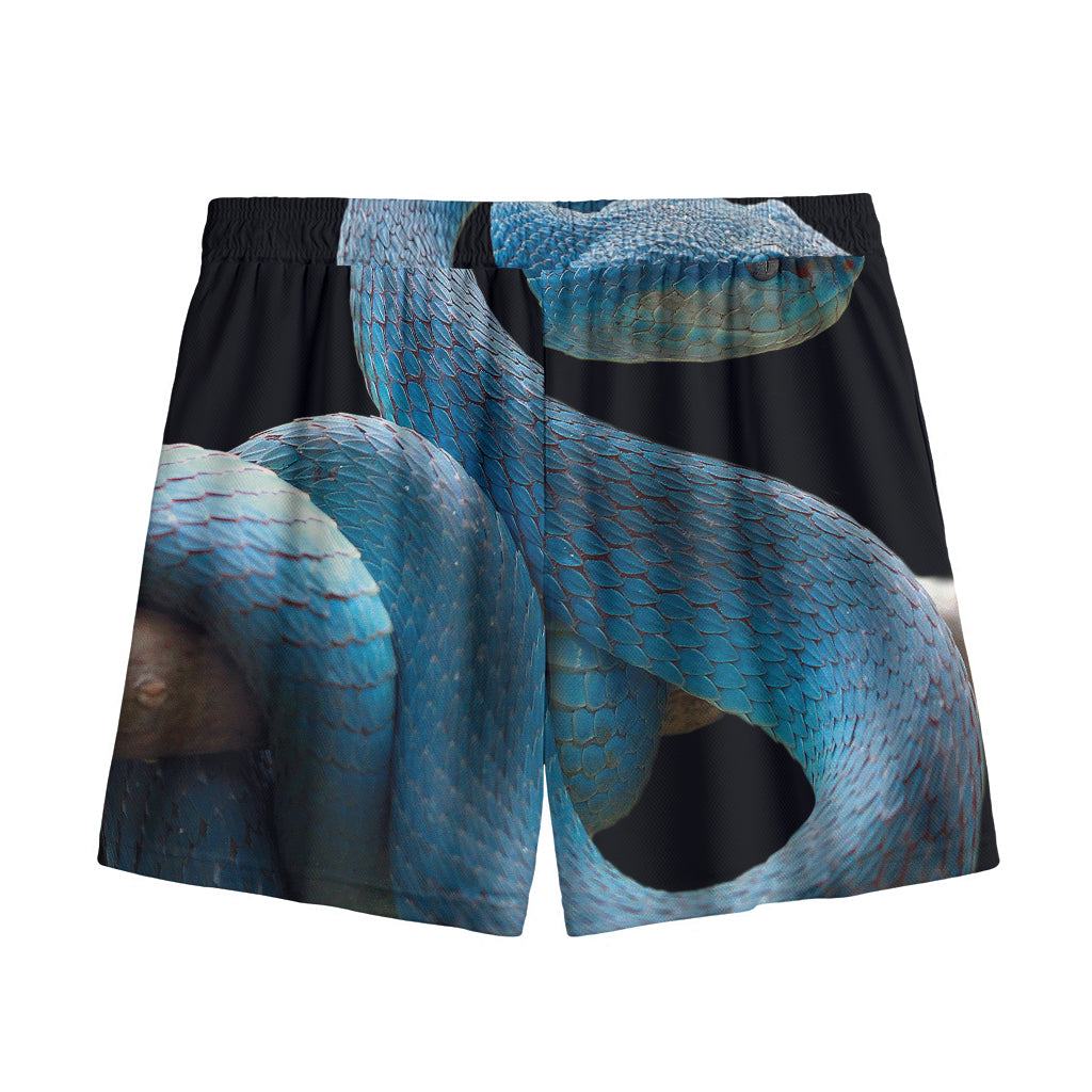 Blue Viper Snake Print Mesh Shorts
