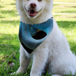 Blue Viper Snake Print Over The Collar Dog Bandana