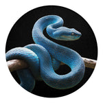 Blue Viper Snake Print Round Blanket