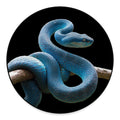 Blue Viper Snake Print Round Floor Mat