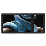Blue Viper Snake Print Trifold Wallet