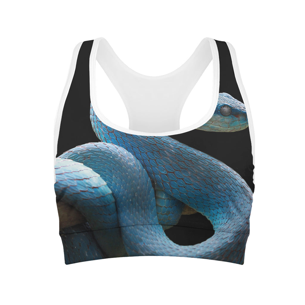 Blue Viper Snake Print Women's Sports Bra