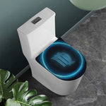 Blue Virgo Zodiac Sign Print Toilet Lid Cover