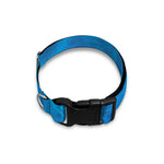 Blue Water Surface Print Dog Collar