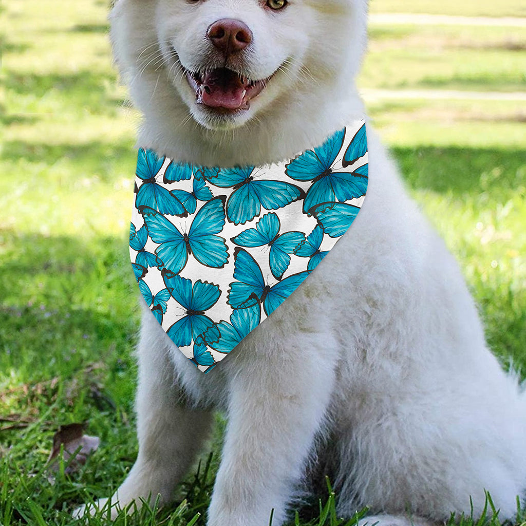 Blue Watercolor Butterfly Pattern Print Over The Collar Dog Bandana