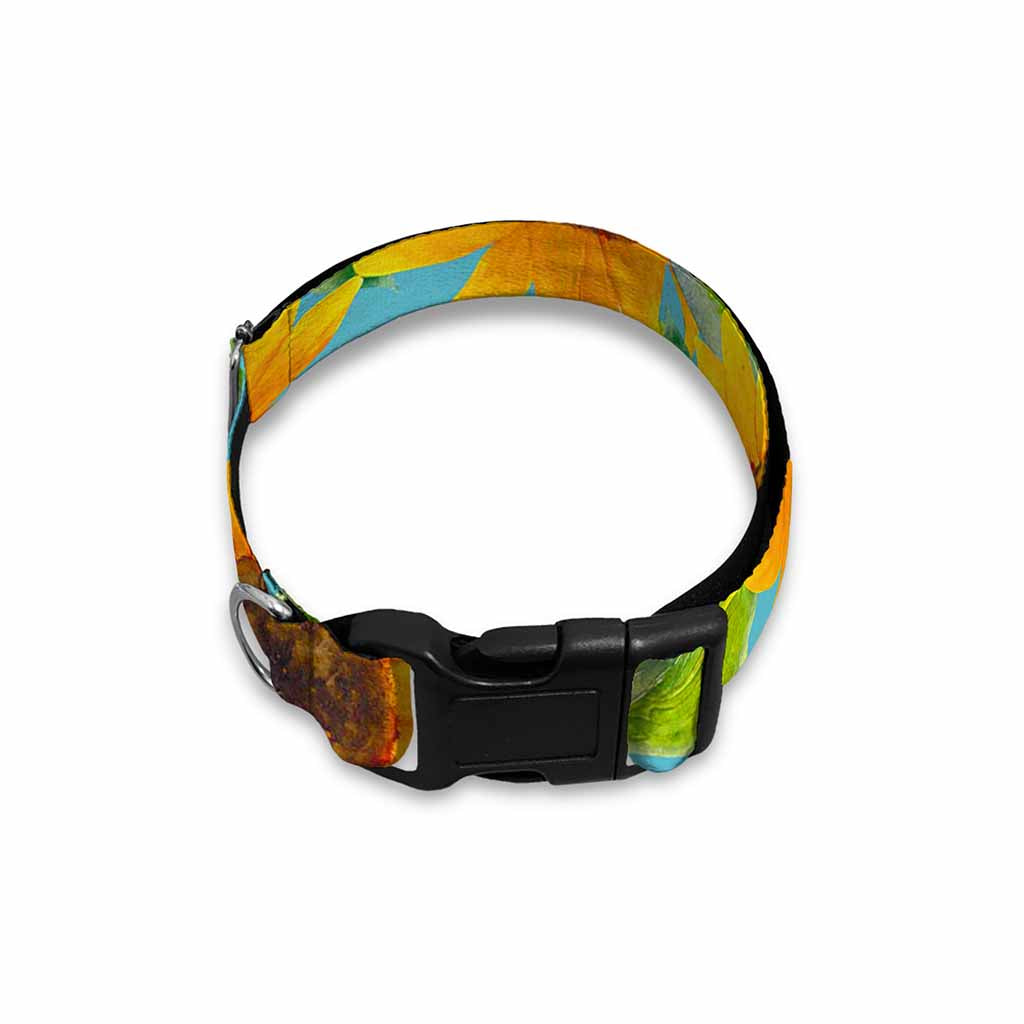 Blue Watercolor Sunflower Pattern Print Dog Collar