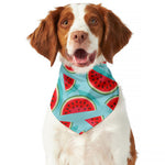 Blue Watermelon Pieces Pattern Print Dog Bandana