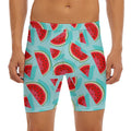 Blue Watermelon Pieces Pattern Print Men's Long Boxer Briefs