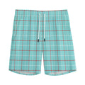 Blue White And Red Tattersall Print Men's Athletic Shorts