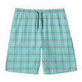 Blue White And Red Tattersall Print Men's Swim Trunks