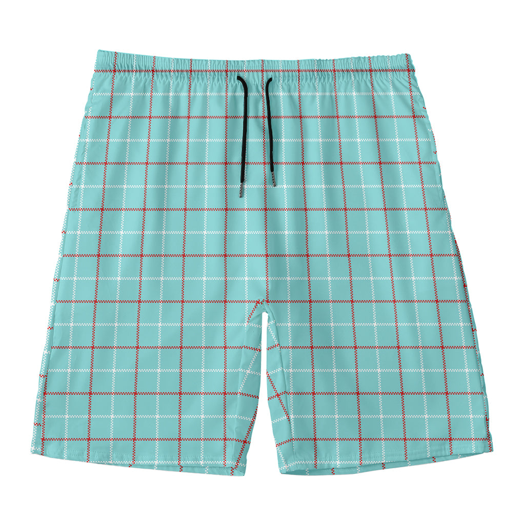 Blue White And Red Tattersall Print Men's Swim Trunks
