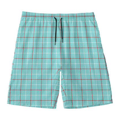 Blue White And Red Tattersall Print Men's Swim Trunks