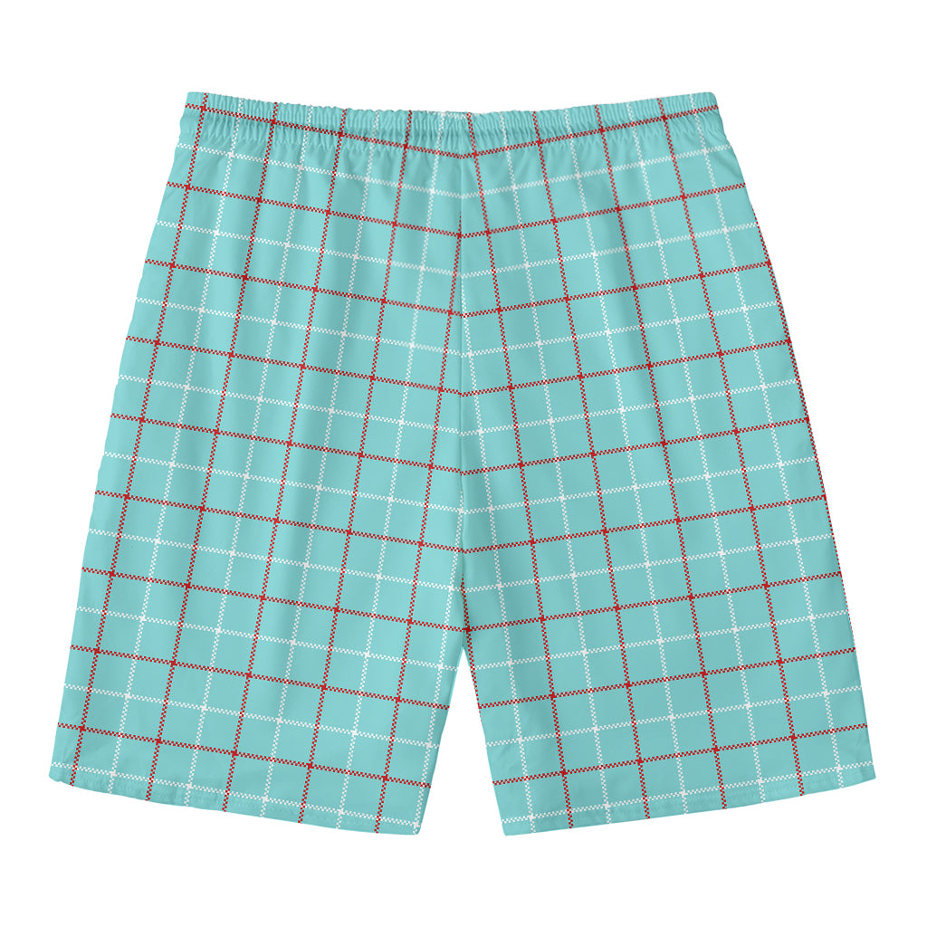 Blue White And Red Tattersall Print Men's Swim Trunks