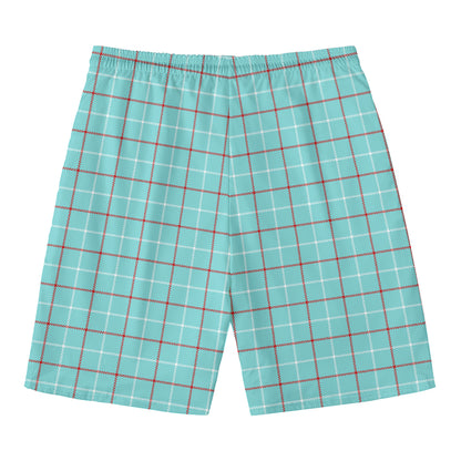 Blue White And Red Tattersall Print Men's Swim Trunks